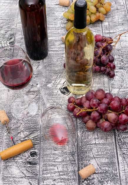 Vinos Blancos Argentinos Una Experiencia de Sabores y Aromas Inigualable